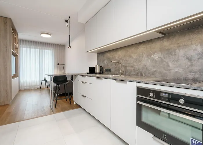 アパート Dream - Modern Design With Balcony & Free Parking タリン